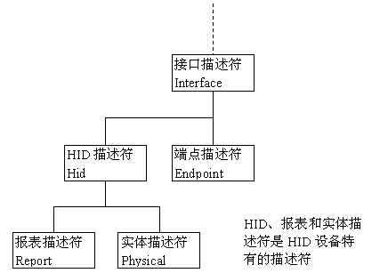 HID 设备描述符关系